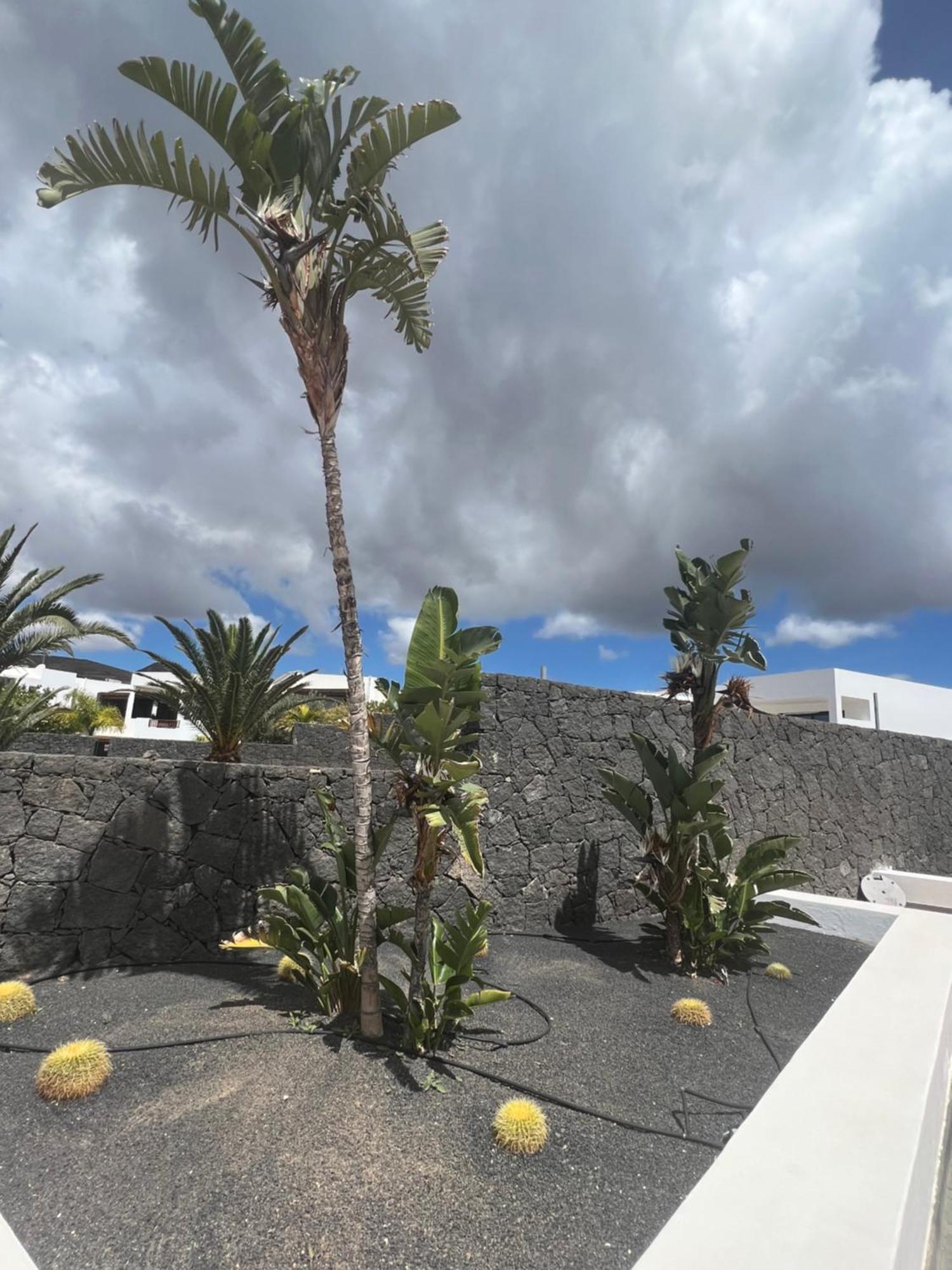 Villa Dedalos - A Luxury Large Villa With A Heated Pool In بْوُرتو كاليرو المظهر الخارجي الصورة